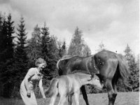 Margit Makela  Margit Mäkelä ja Lotta-hevonen varsansa kanssa
